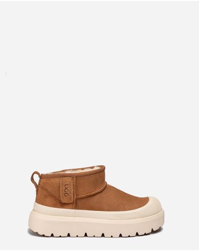 Chestnut White