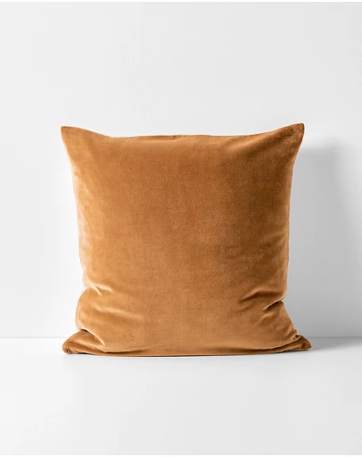 Aura Home - Luxury Velvet Cushion