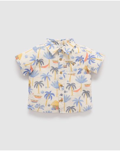 Palm Tree Print