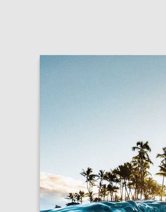 Olive et Oriel - Hawaii Dreamin Art Print