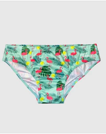 Salty Johnson - Flamingos Brief