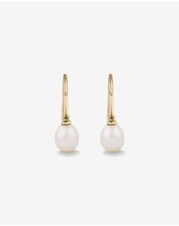 Michael Hill - Drop Earrings with Cultured Freshwater Pearl in 10kt Yellow Gold