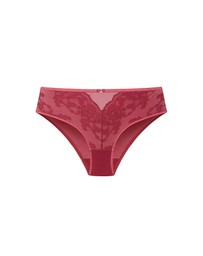 City Chic - Tabria Shorty