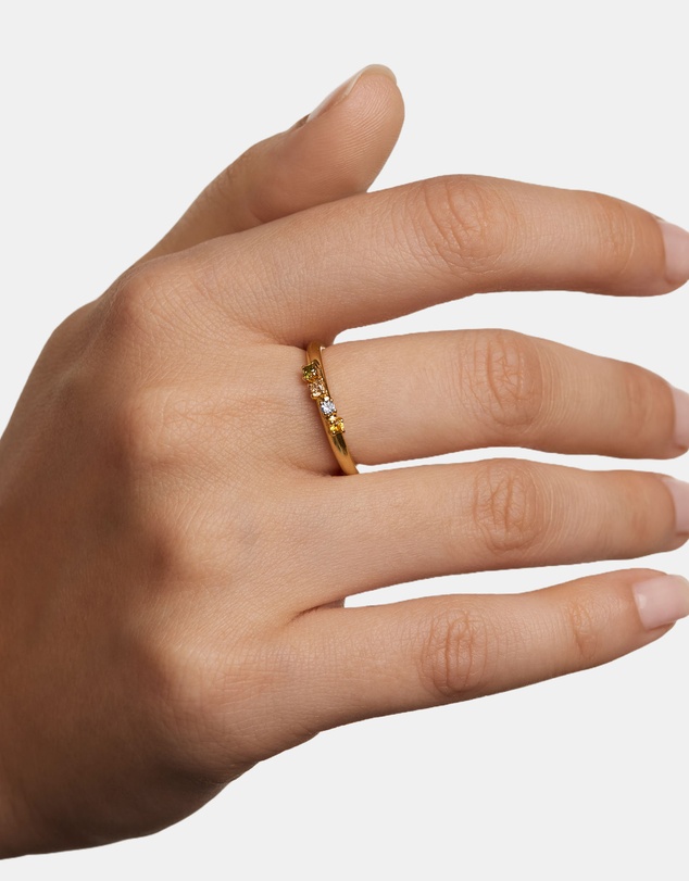 PDPAOLA - Rainbow Wing Ring