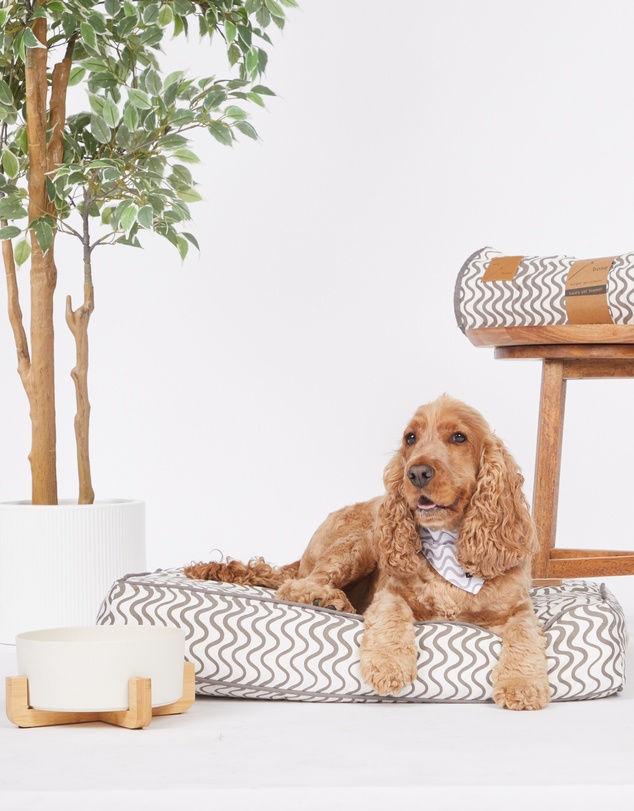 Mog & Bone - Classic Cushion Dog Bed - Mocha Wave