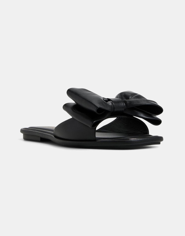 ALDO - Bowetta Ballerina & Flats