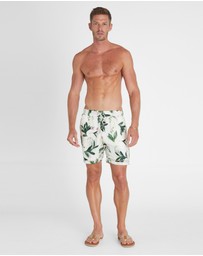 Aqua Blu Australia - Lily Taylor Shorts