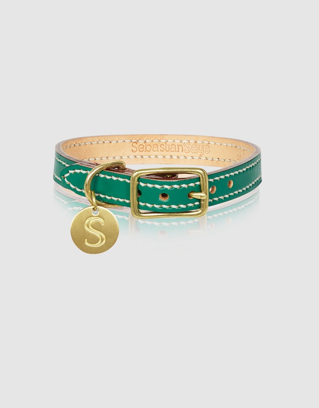 Sebastian Says - Leather Dog Collar