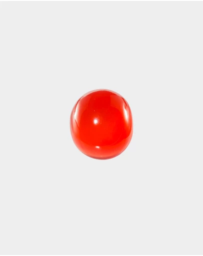 Sunday Stephens - Tomato Sucker Ring