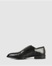 Brando - Morris Lace Ups