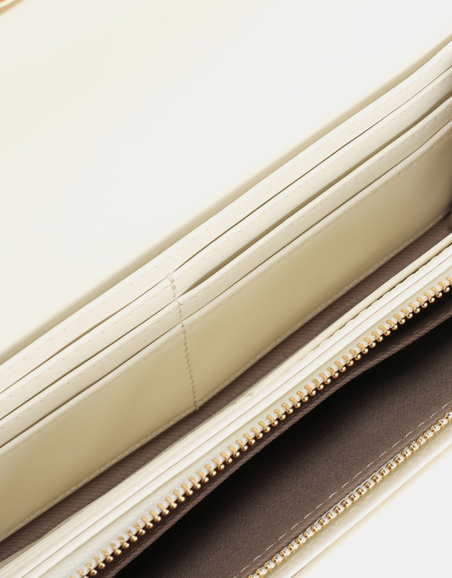 ALDO - Olire Purse
