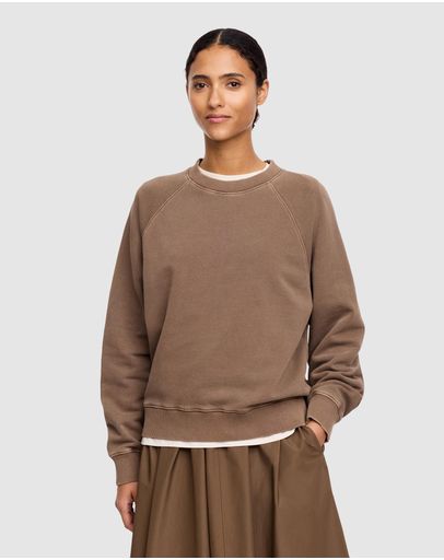 Brown Medium Dusty