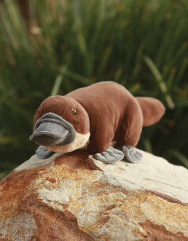 Animal Allsorts - Poppy Platypus