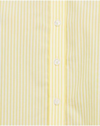 Farage - Karolina Stripe Shirt