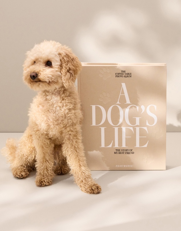 Printworks - Printworks Dog Album-A Dogs Life