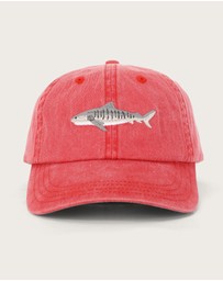 Pallion Point - Tiger Shark Fish Lid