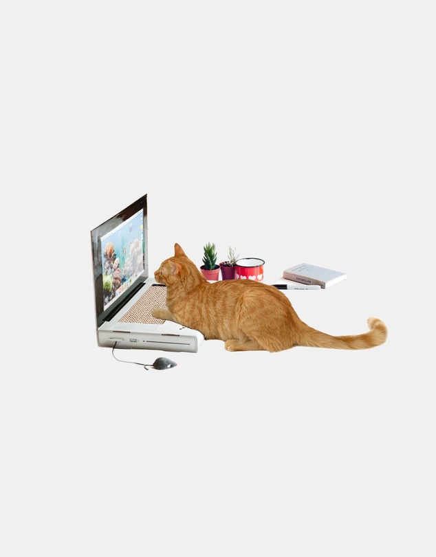Suck UK - Cat Playhouse Scratch Laptop