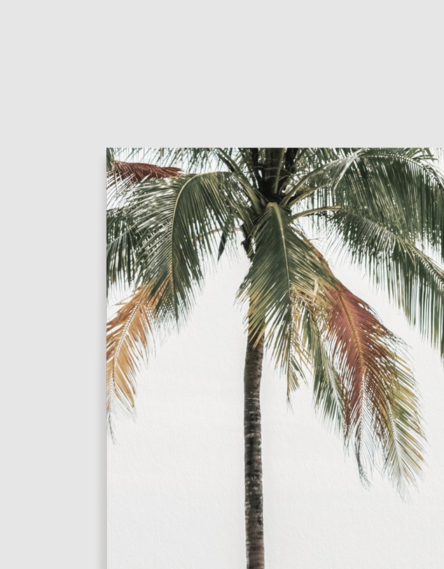 Olive et Oriel - Hawaii Days  Art Print