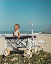 Business & Pleasure Co. - The Beach Cart