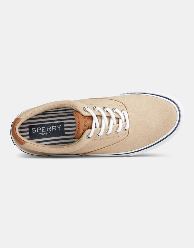 Sperry - Striper II Canvas Chino- Men's