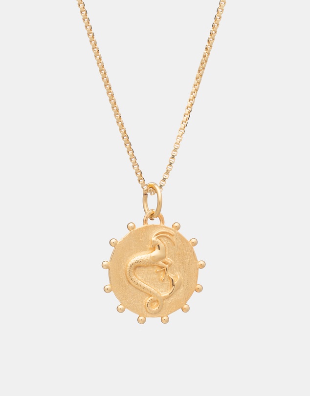 Rachel Jackson - Zodiac Art Coin Necklace Capricorn