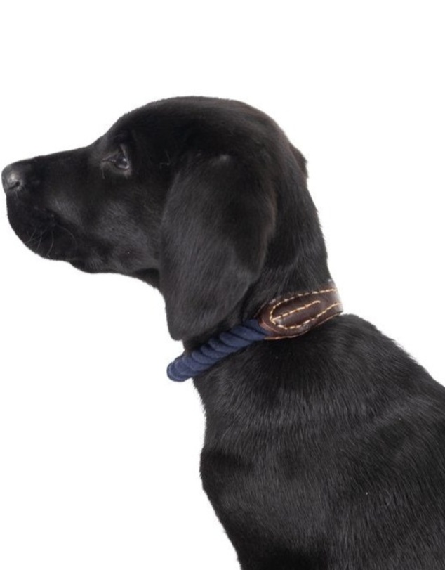 Mog & Bone - Classic Walk Bundle- Navy Rope