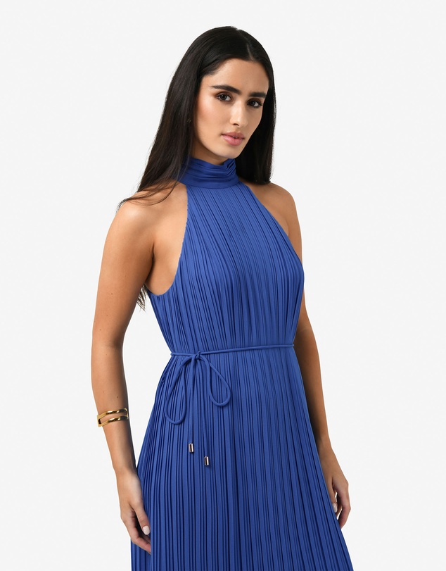 Forcast - Shelly Chiffon Pleated Dress