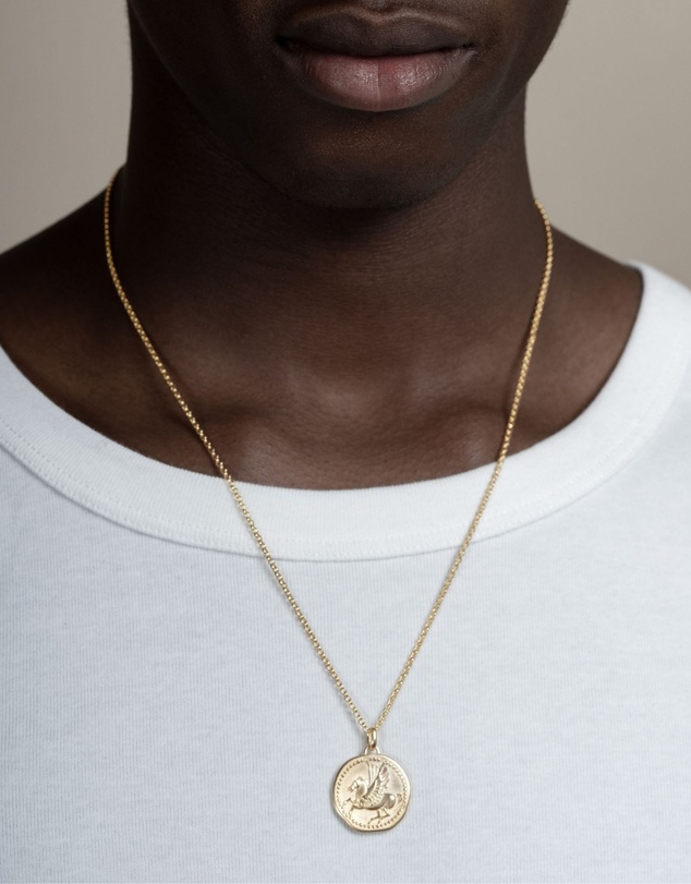 Dower & Hall - Men's 'Overcome and Thrive' Pegasus Talisman Necklace In Gold Vermeil