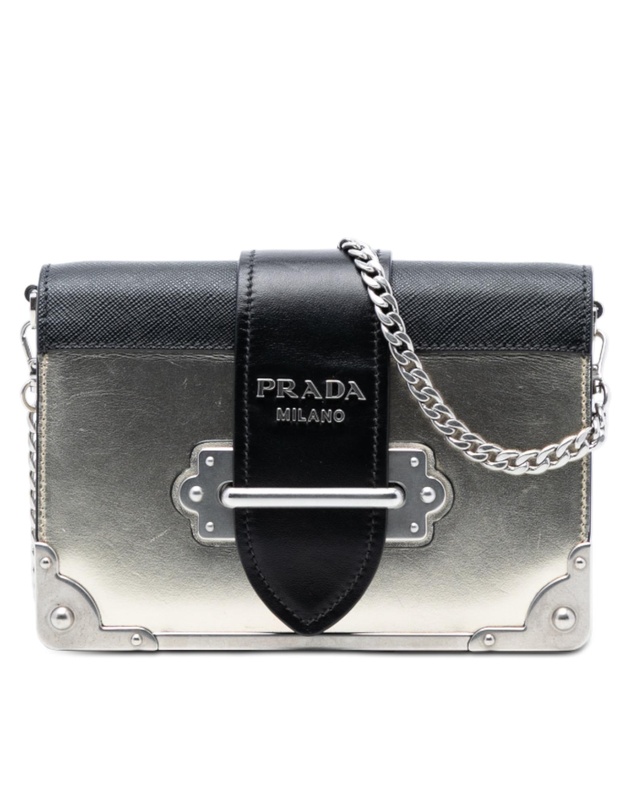 Pre-Loved by Azura Reborn - Pre-Loved Saffiano Trimmed Metallic Vitello Cahier Bag