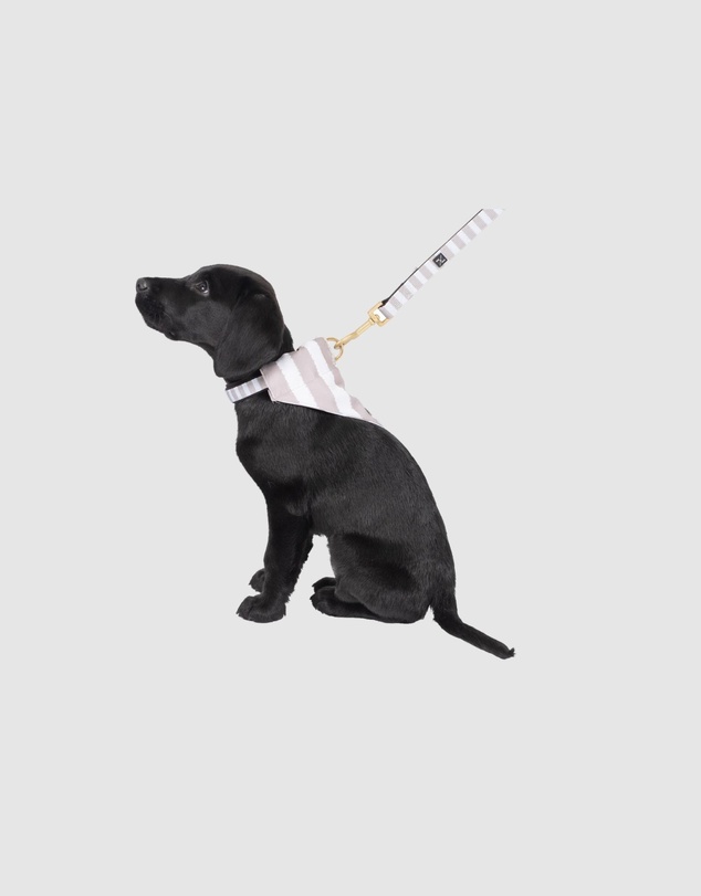 Mog & Bone - Neoprene Dog Collar & Lead- Latte Hamptons Stripe Print