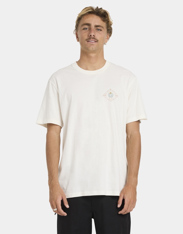 Billabong - Mens Agave Adiv Premium Fit T-Shirt