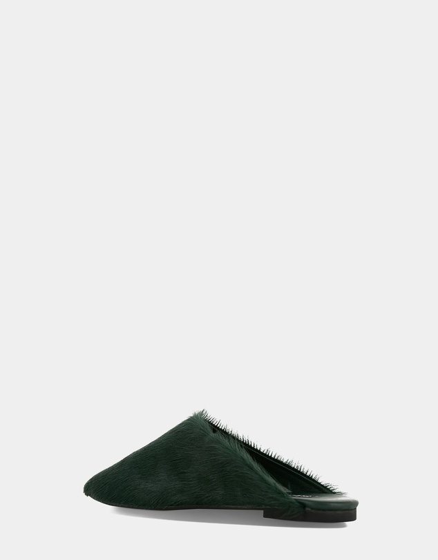 Senso - Caelan
