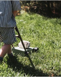 Dantoy - Dantoy - Green Garden - Lawn Mower