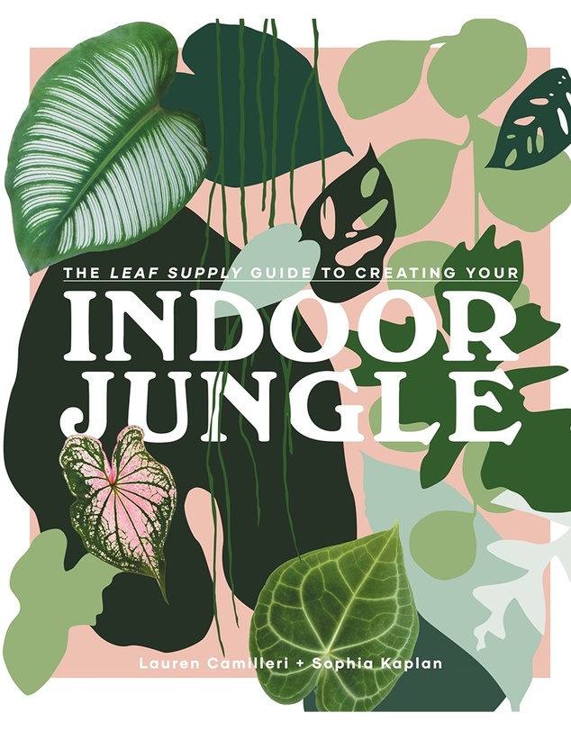 Brumby Sunstate - Indoor Jungle