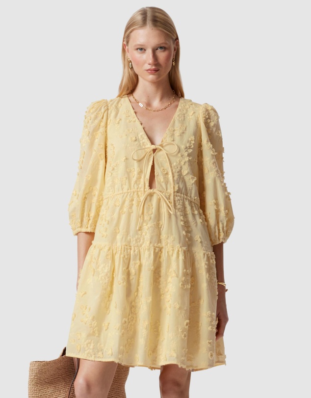 & Other Stories - Embroidered Mini Dress
