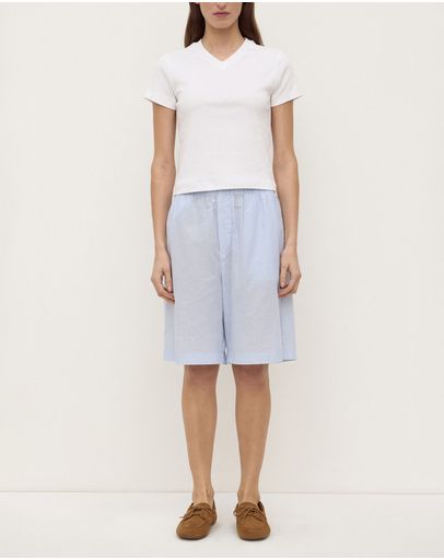 Blue & White Stripe