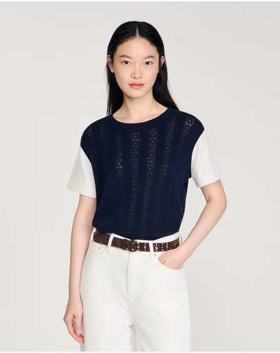 Sandro - Artemia Sweater