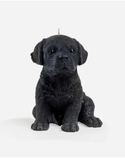 Love Ally - Labrador Candle