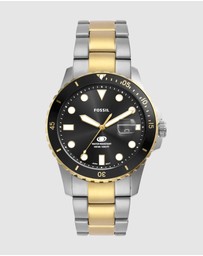 Fossil - Fossil Blue Dive Two Tone Analogue Watch