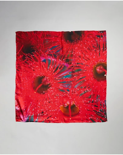 Lindsay Nicholas New York - Melbourne Scarlet Burst Silk Scarf