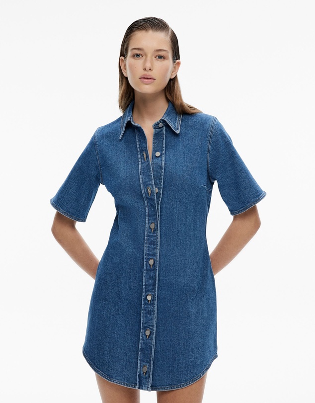 Witchery - Denim Shirt Dress