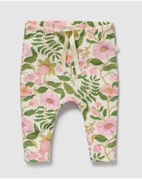 Wilson & Frenchy - Organic Leggings - Babies