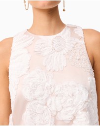 Elliatt - Roxana Shift Mini Dress