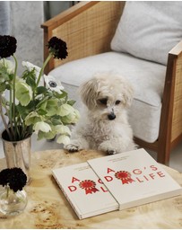 Printworks - Printworks A Dog's Life - Dog Journal