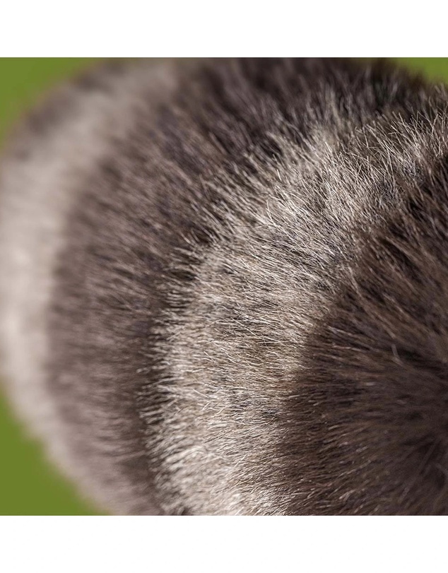 Jellycat - Trixiwoo Raccoon