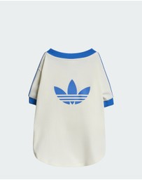 adidas Originals - adidas Pet Cali Tee