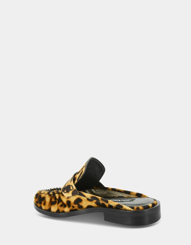 Senso - Charlotte IV