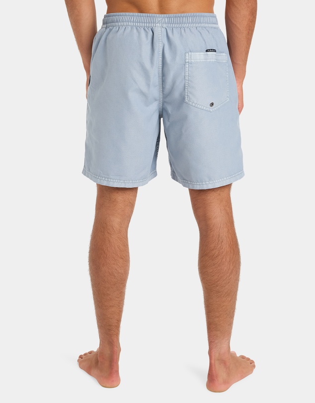 Quiksilver - Mens Everyday Volley 17