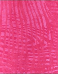 ALEXANDRA - Ollie Dress Hot Pink Brush Stoke