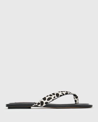 Dalmatian Pony